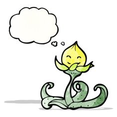 cartoon flower with thought bubble N51