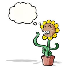 cartoon sunflower with thought bubble N3