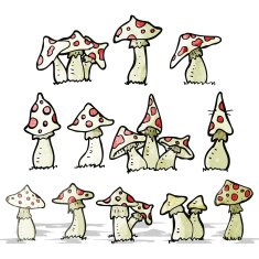 cartoon toadstools collection