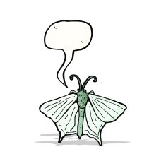 butterfly with speech bubble cartoon N2