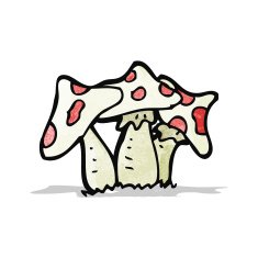 cartoon toadstool N21