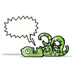 Cartoon Octopus N49
