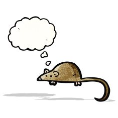 cartoon mouse with thought bubble N24