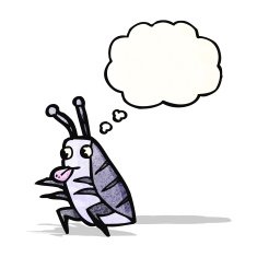 cartoon bug N25