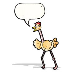 funny bird with speech bubble cartoon N3