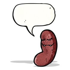 cartoon kidney N5