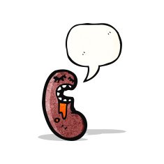 cartoon kidney N6