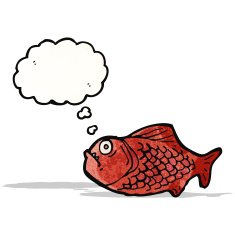 Cartoon Piranha N17