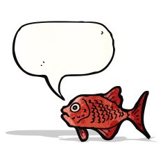 cartoon red fish N2