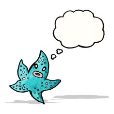 Cartoon Starfish N30