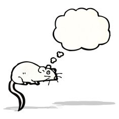 cartoon white mouse with thought bubble N10