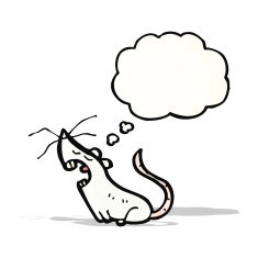 cartoon white mouse with thought bubble N12