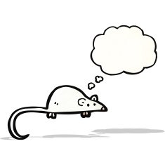 cartoon white mouse with thought bubble N13