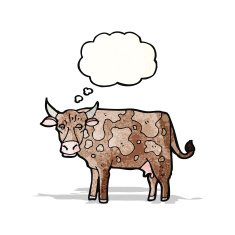 Cartoon Cow N55