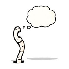 cartoon worm with thought bubble N12