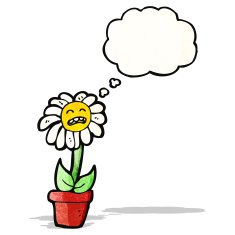 flower with thougth bubble cartoon