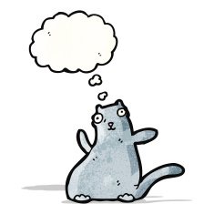 funny cat with thought bubble N3