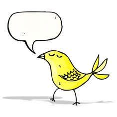 bird with speech bubble cartoon N2