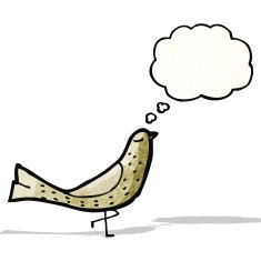 cartoon bird with thought bubble N332