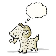 Cartoon Goat N20
