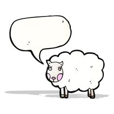 Cartoon Sheep N35