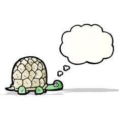 cartoon tortoise with thought bubble N10