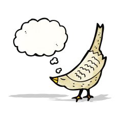 cartoon bird with thought bubble N339