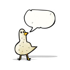 bird with speech bubble N2