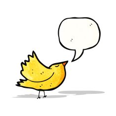 singing bird cartoon N10