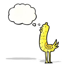 cartoon bird with thought bubble N344