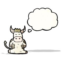 cartoon cow with thought bubble N41