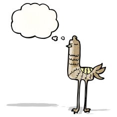 Cartoon Bird N97
