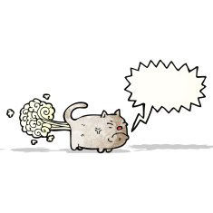 Farting Cat Cartoon N5