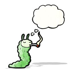 caterpillar smoking cigarette