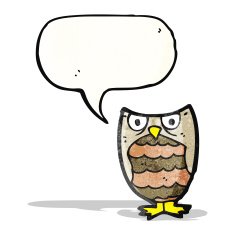 hooting little owl cartoon