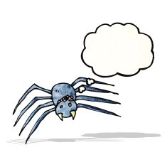 Cartoon Spider N11