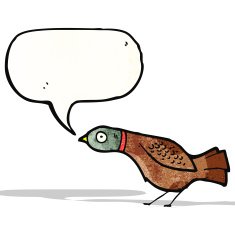 cartoon grouse with speech bubble