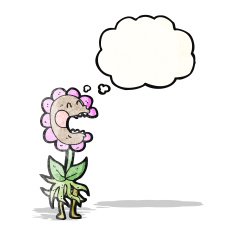cartoon carnivorous flower N5