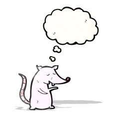 white mouse cartoon N2