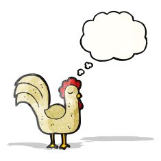 Cartoon Rooster N15