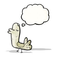 bird with thought bubble cartoon N7