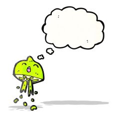 cartoon lime squirting