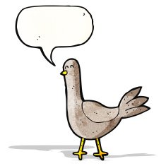 Cartoon Pigeon N17