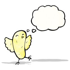 Cartoon Bird Flapping Wings N3