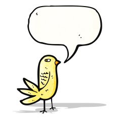 angry cartoon bird N2