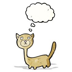 Cartoon Cat N178