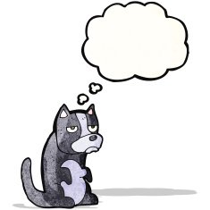 grumpy little dog with thought bubble