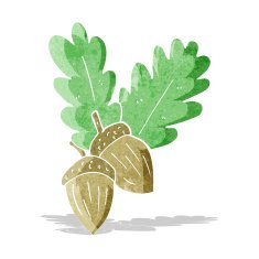 cartoon acorns