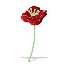 cartoon flower N109