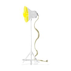 cartoon studio lamp shining